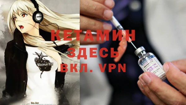 хмурый Верея