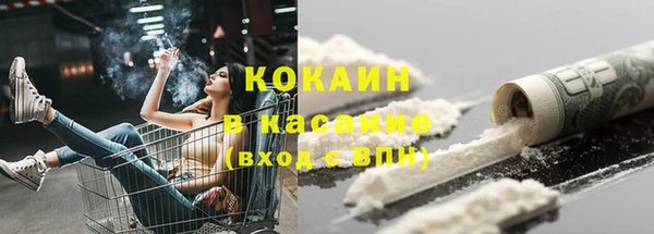 хмурый Верея