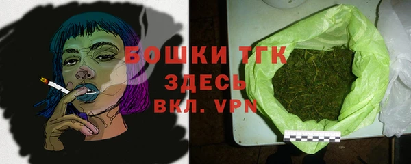 хмурый Верея