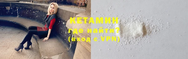 хмурый Верея