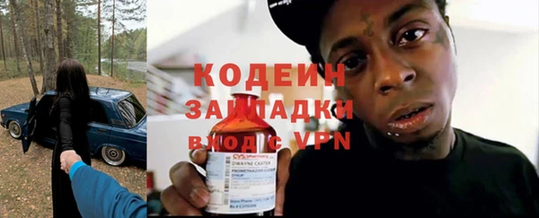 хмурый Верея