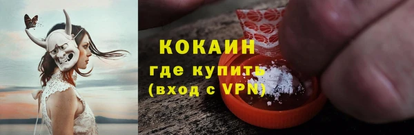 хмурый Верея