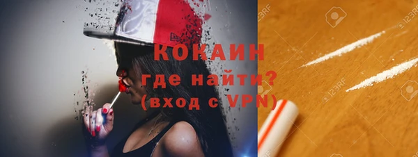хмурый Верея