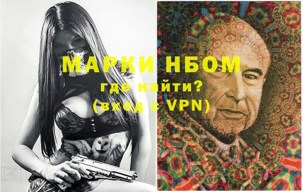 хмурый Верея