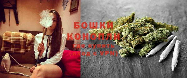 хмурый Верея